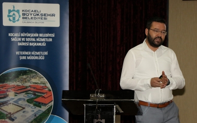 Sokak hayvanları için ortak kararlar alındı