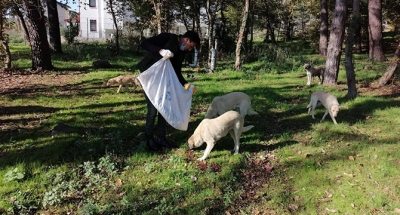 SOKAK HAYVANLARI UNUTULMUYOR