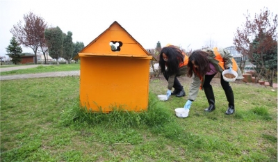 Sokak hayvanlarına mama dağıtılıyor