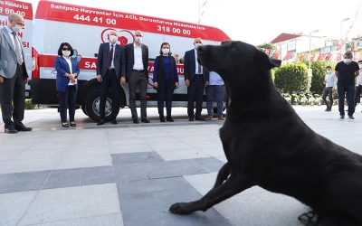 Sokaktaki dostlarımızın İzmit’te ambulansı var
