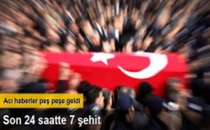 Son 24 saatte 7 şehit