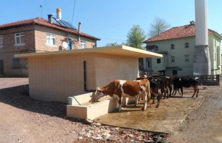 TARIM VE HAYVANCILIĞA HER ALANDA DESTEK!