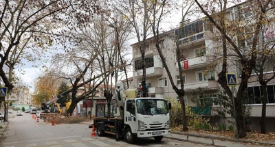 Tehlike arz eden dallar hafta sonu budandı