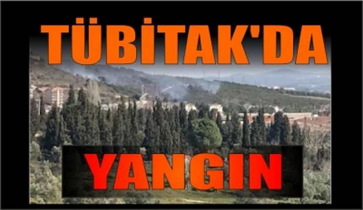 Tübitak'da Yangın