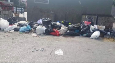 Tüm Uyarılara Rağmen...