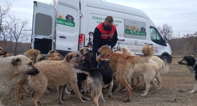 Tüpraş, Sokak Hayvanlarına Desteğini Sürdürüyor