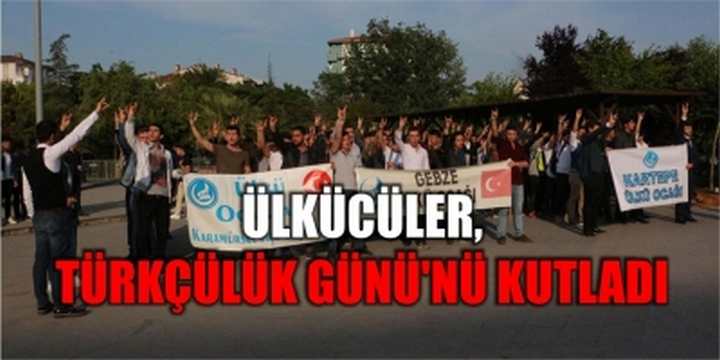 Ülkücüler, Türkçülük Günü'nü kutladı 