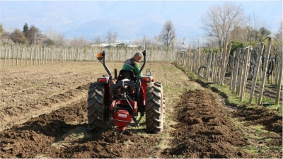 Üretim fidanlığında yetişiyor, Kocaeli’yi yeşillendiriyor