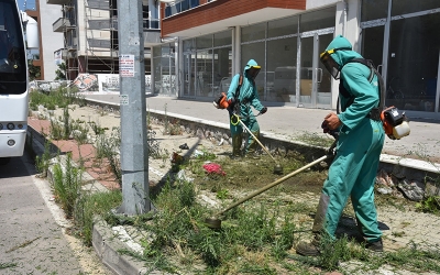 Yabani ot temizliği sürüyor