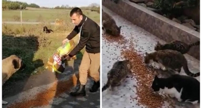 YASAKLARDA HAYVANLAR UNUTULMADI