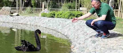 Yavru Karaca’yı elleriyle besledi,