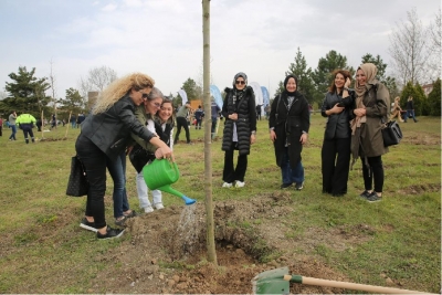 Yeniköy’de 1000 ağaç toprakla buluştu