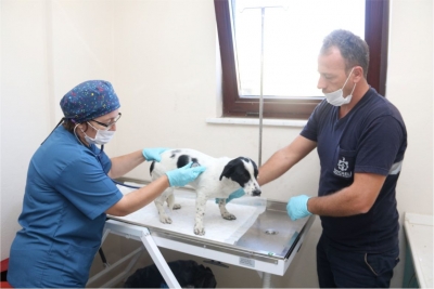 ziyaretlere kapandı